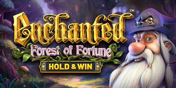 Enchanted Forest of Fortune